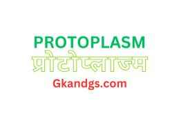 protoplasm